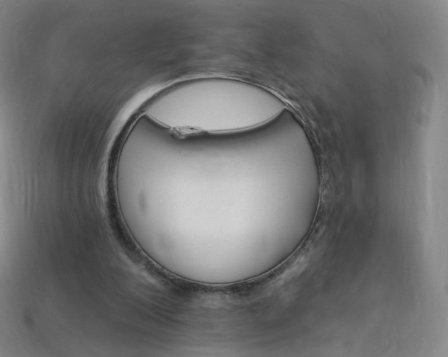 X0000114000200200910021037