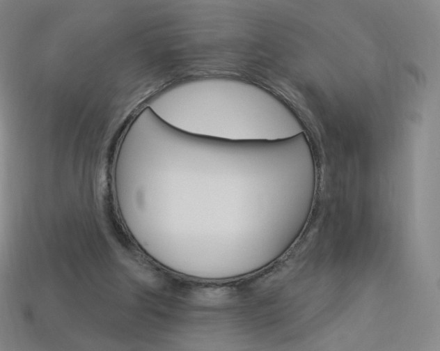 X0000114000202200910021037