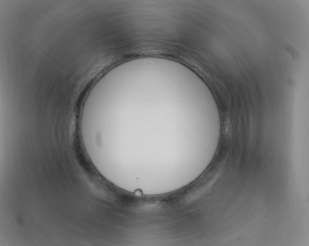 X0000114000206200910021037