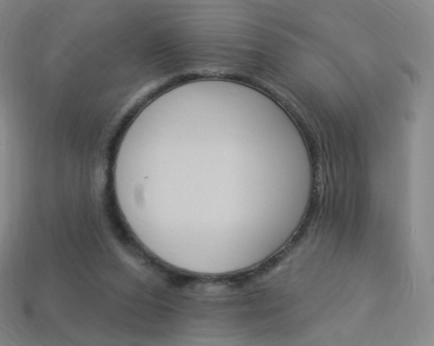 X0000114000208200910021037