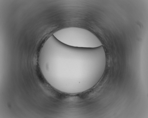 X0000114000210200910021037