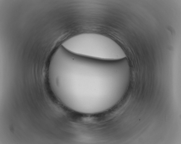 X0000114000216200910021037