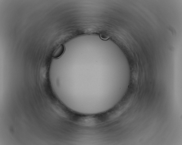 X0000114000219200910021037