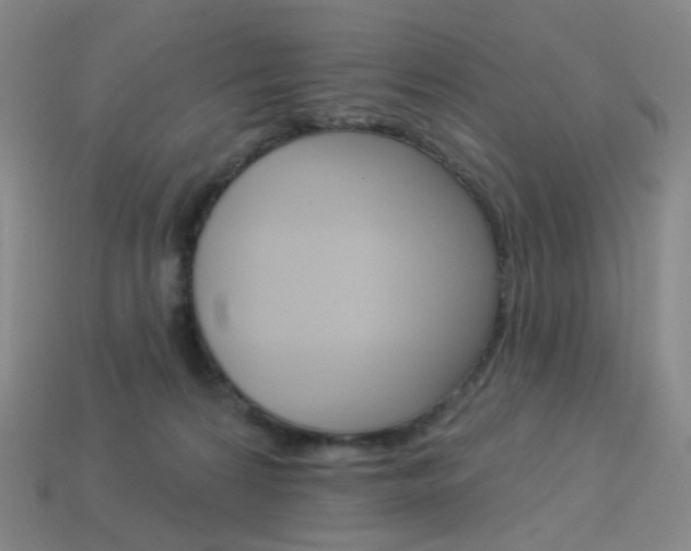 X0000114000224200910021037