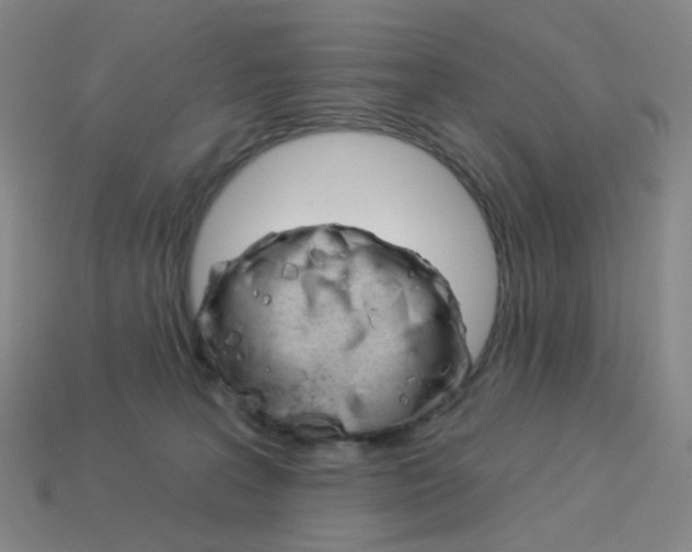 X0000114000227200910021037