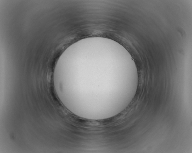 X0000114000230200910021037