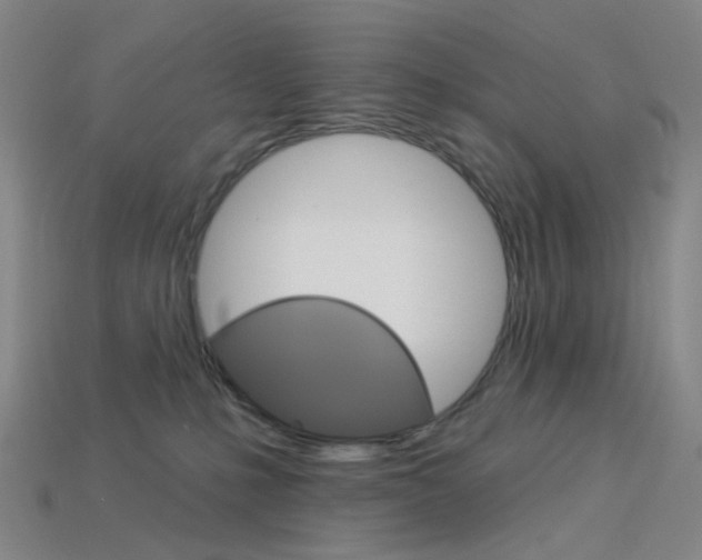 X0000114000231200910021037