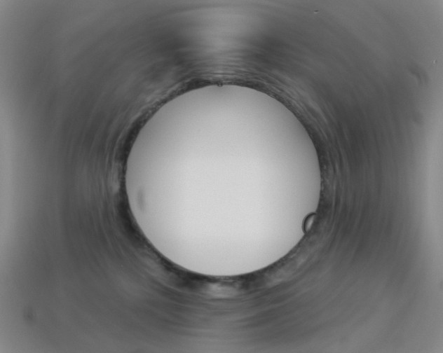 X0000114000232200910021037