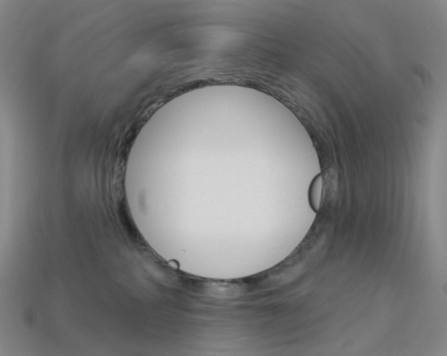 X0000114000234200910021037