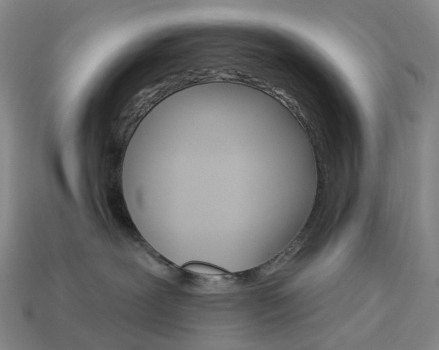 X0000114000239200910021037