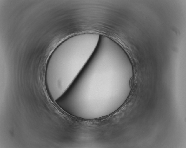 X0000114000241200910021036