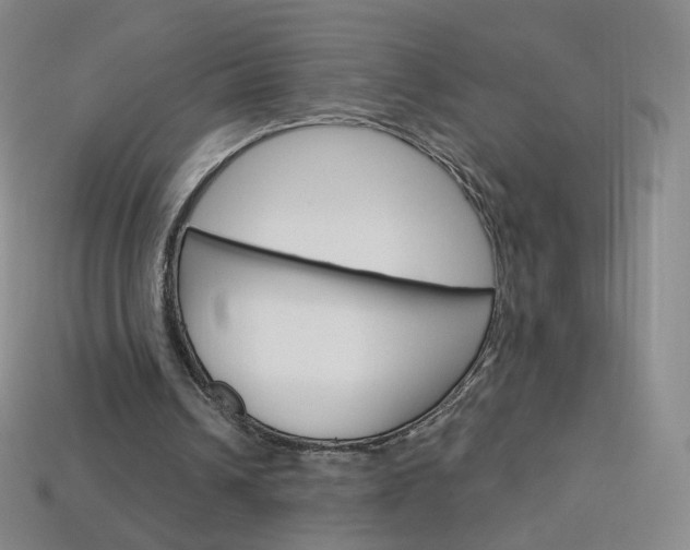 X0000114000242200910021036