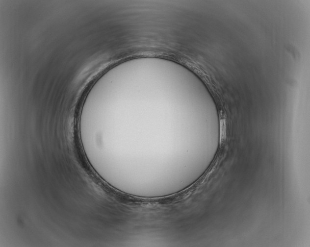 X0000114000243200910021036