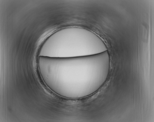 X0000114000245200910021036