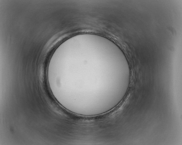X0000114000247200910021036