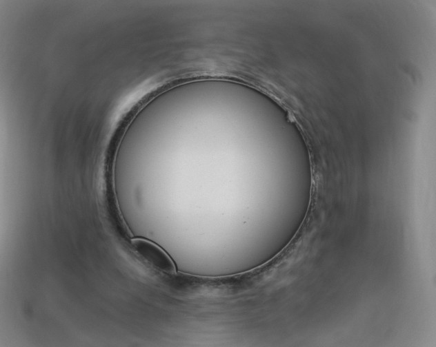 X0000114000248200910021036