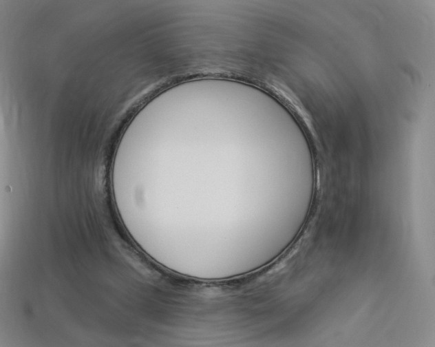 X0000114000249200910021036