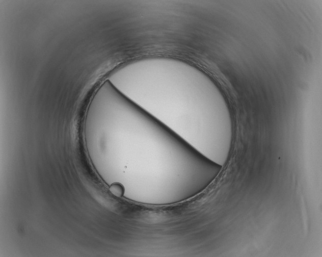 X0000114000250200910021036