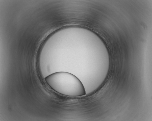 X0000114000252200910021036