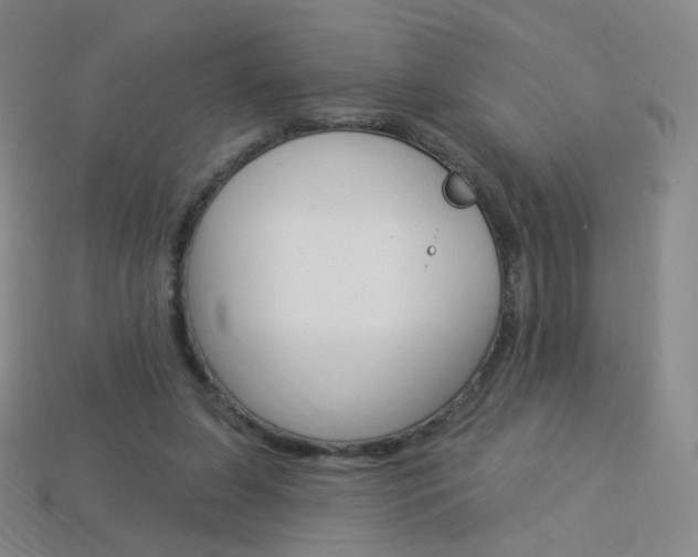 X0000114000255200910021036