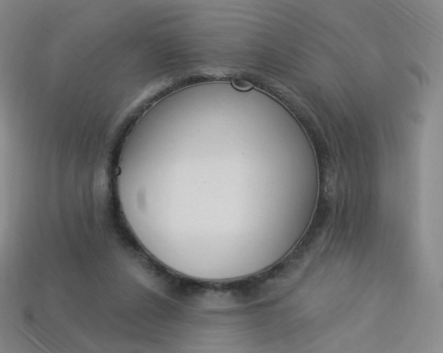 X0000114000256200910021036
