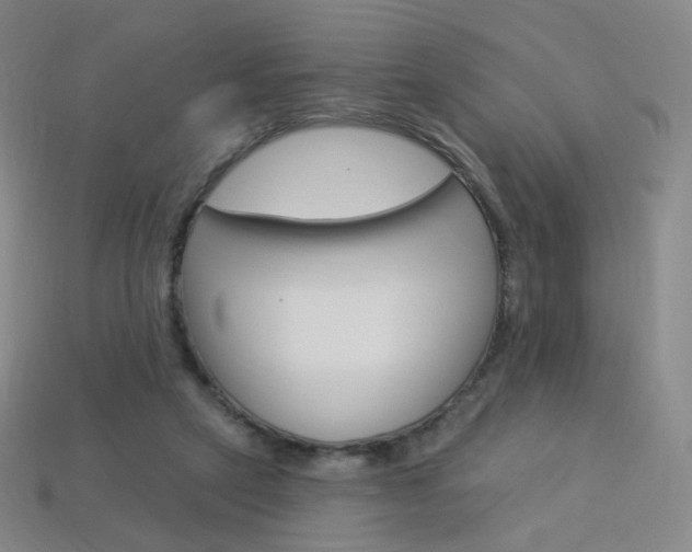 X0000114000257200910021036