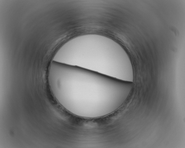 X0000114000258200910021036