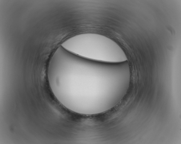 X0000114000259200910021036