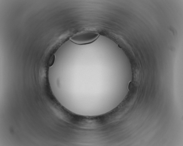 X0000114000260200910021036