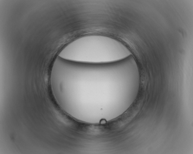 X0000114000261200910021036
