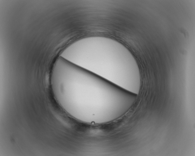 X0000114000262200910021036