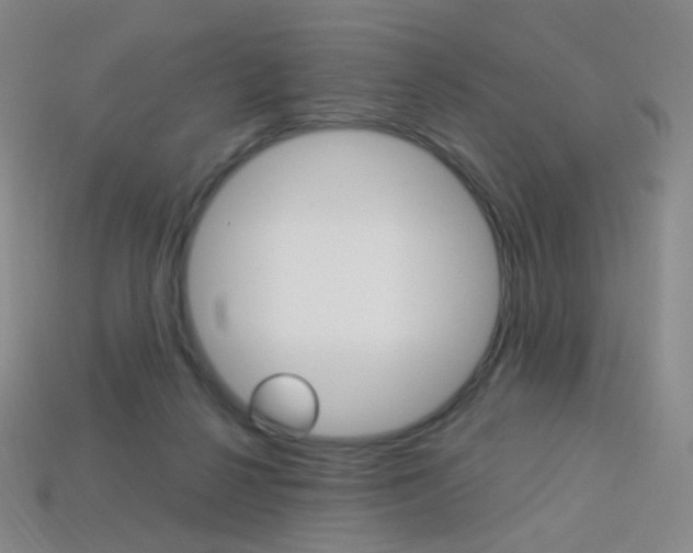 X0000114000264200910021036