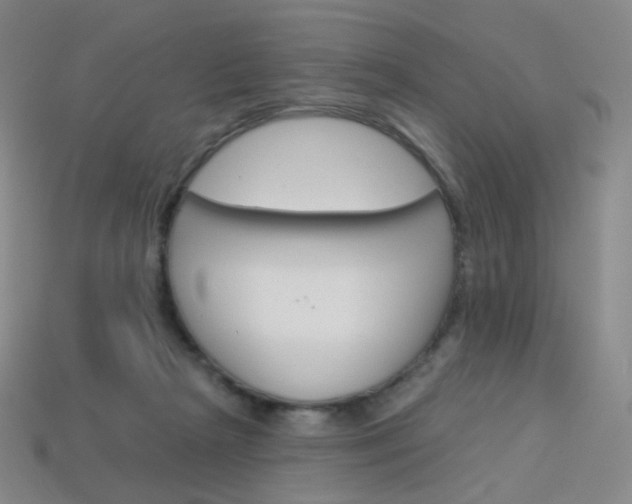 X0000114000265200910021036