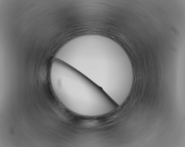 X0000114000266200910021036
