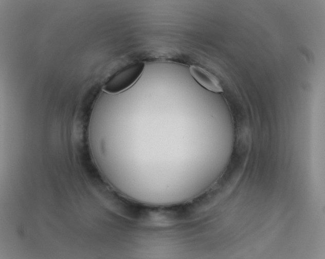 X0000114000268200910021036