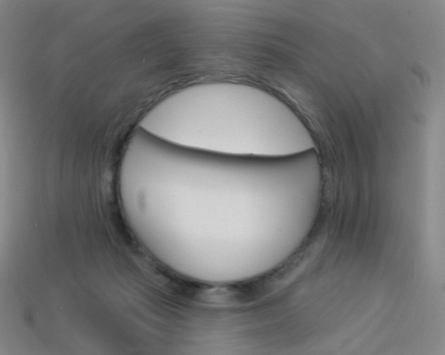 X0000114000269200910021036