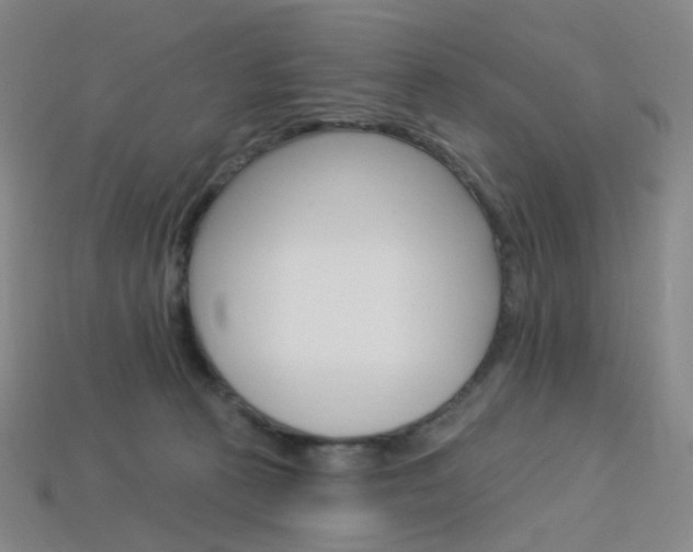 X0000114000273200910021036