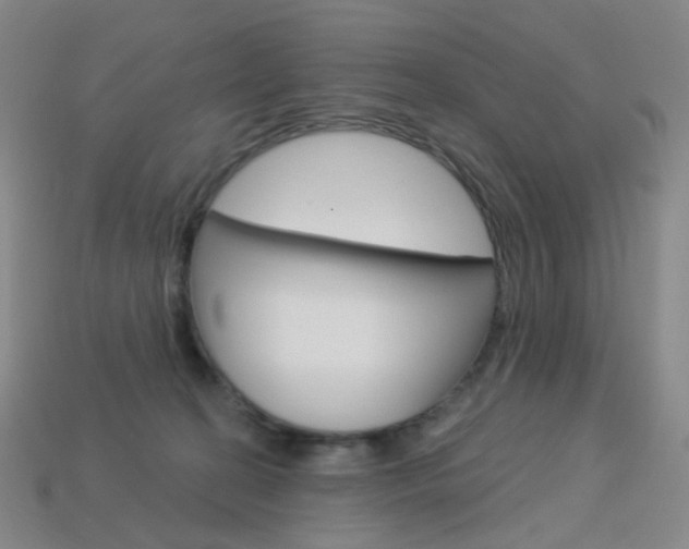 X0000114000274200910021036