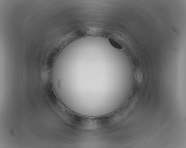 X0000114000276200910021036