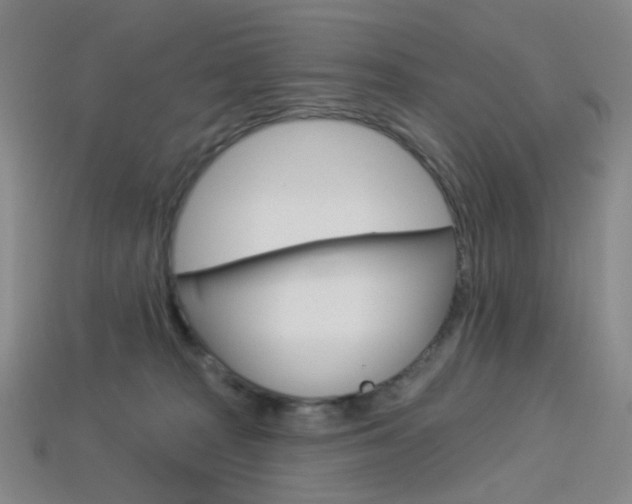X0000114000277200910021036