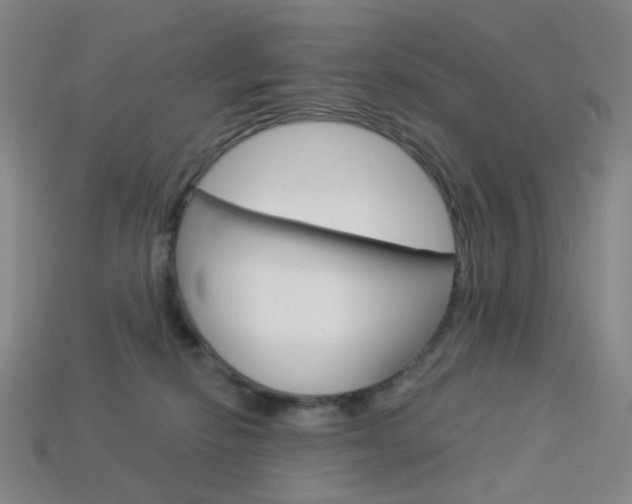 X0000114000278200910021036