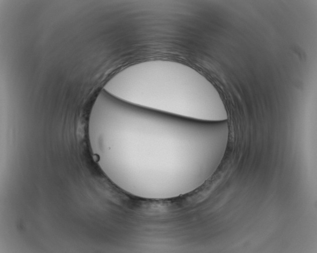 X0000114000282200910021037