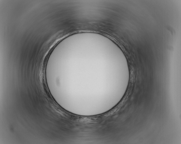 X0000114000290200910021036