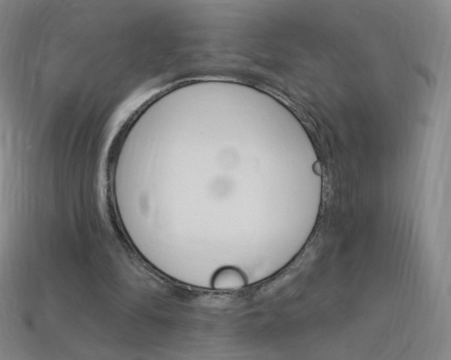 X0000114000294200910021036