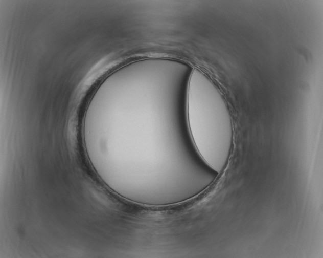 X0000114000295200910021036