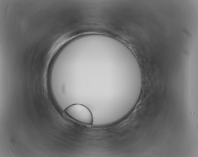 X0000114000296200910021036