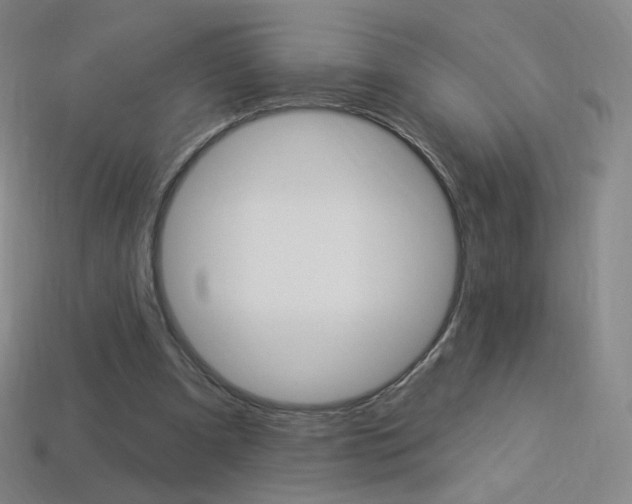 X0000114000297200910021036