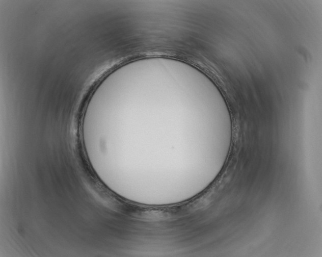 X0000114000298200910021036