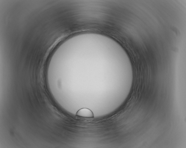 X0000114000300200910021036