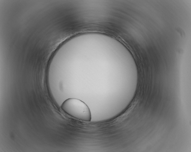 X0000114000301200910021036